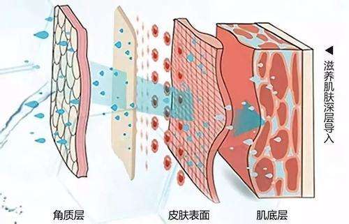 超微小氣泡--真有那么神奇？