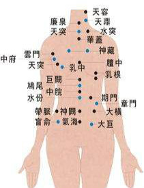 艾灸儀穴位圖解 艾灸儀穴位圖解