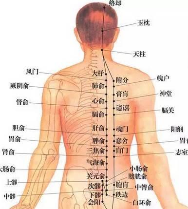艾灸儀穴位圖解 艾灸儀穴位圖解